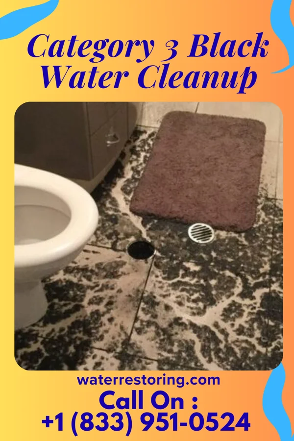 Category 3 Black Water Cleanup in Raceland, KY
