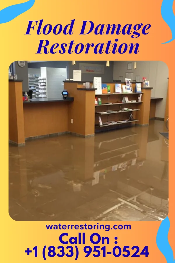 Flood Damage Restoration in Raceland, KY