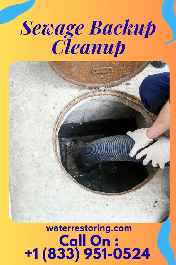 Sewage Backup Cleanup in Raceland, KY