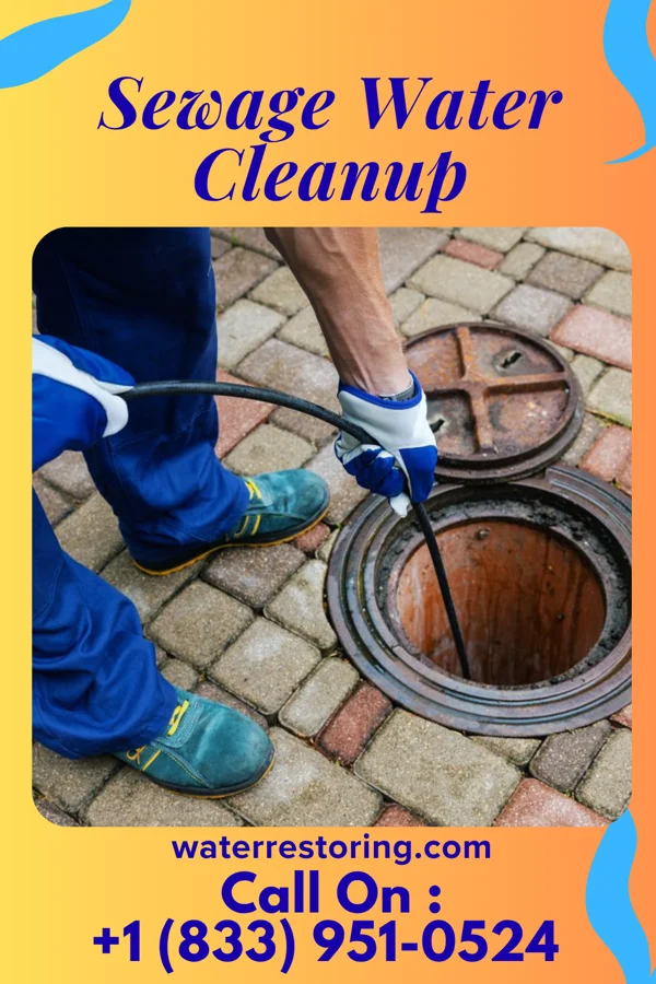 Sewage Water Cleanup in Raceland, KY