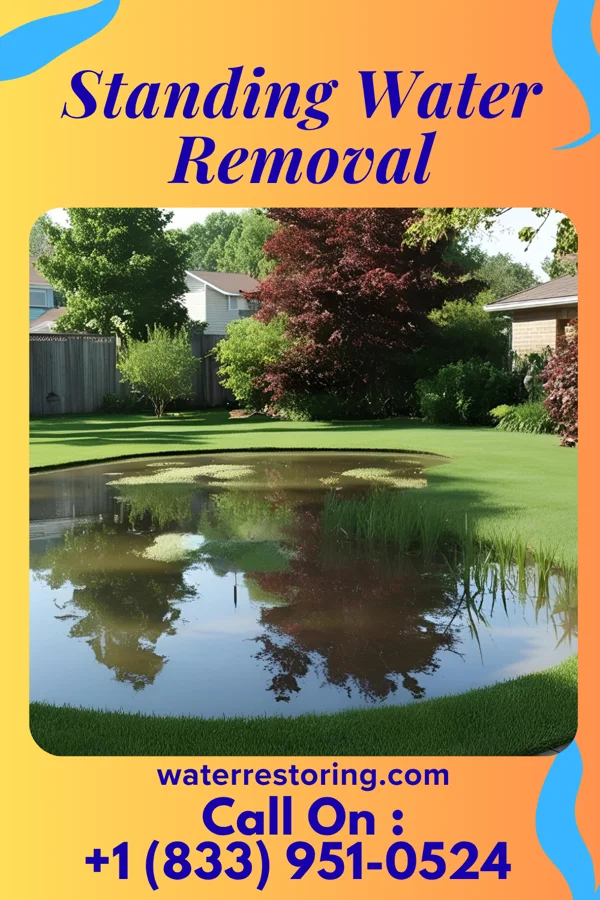 Standing Water Removal in Raceland, KY